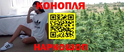 твердый Магадан