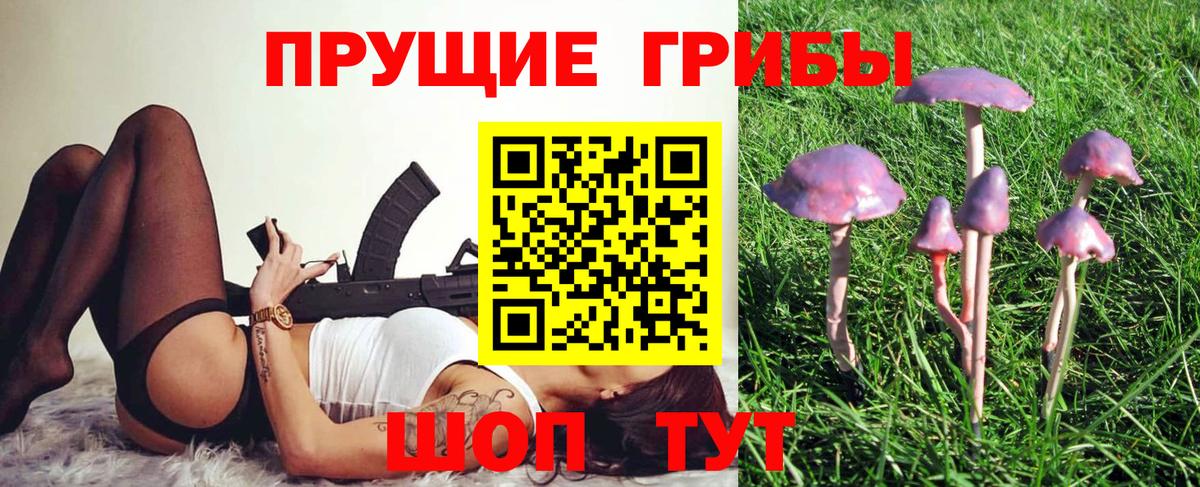 Мариинск  Псилоцибиновые грибы Psilocybine cubensis  Вход с VPN 